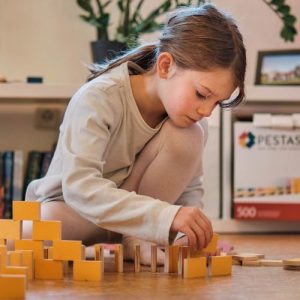 Les bienfaits des jeux de construction